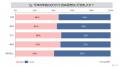 初売りについての消費者調査