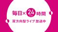 ショップチャンネル 3月の1ヶ月間は、「心おどる、春