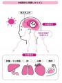 企業の朝型勤務を提唱してきた大学教授が教える『睡眠