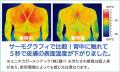 人気の「アイスボレロ」に パーカータイプ 新登場
