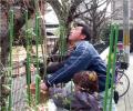 京都市右京区 嵐山中之島地区2025年3月11日　GRe4N BO