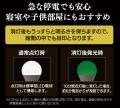 【Verbatim】バーベイタム アニメ「鬼滅の刃」蓄光型L