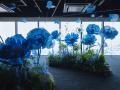 渋谷上空229mのSHIBUYA SKYに、春の訪れを告げる花々