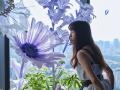 渋谷上空229mのSHIBUYA SKYに、春の訪れを告げる花々
