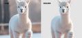 【100%無料】Aiarty Image Matting（AI背景透過ツール