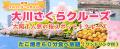 春限定！　「大阪・大川さくらクルーズ＋選べるutf-8