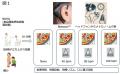 肥満患者の生活指導“ゆっくり食べる”を科学的に検証