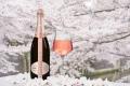 目黒川お花見CHANDONクルーズ2025、春の特別ビジュア