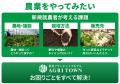 農業フランチャイズ「アグリタウン」、「キクラゲ栽培