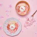 【まるでお花見】東京・表参道『& Yogurt』にて3月20