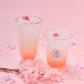 【まるでお花見】東京・表参道『& Yogurt』にて3月20