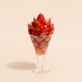 SO TARTE / fruits and season から新作ヴィーガンフ