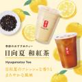 “春の訪れを告げる果物”日向夏を使った季節のおすすめ