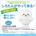 「しろたんのふわり桜カフェ」が横浜・みなとみらい「