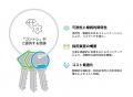 【人材不足を解決】採用特化SNS運用代行サービス「コ