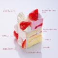 札幌の洋菓子【きのとや】春のお祝いを鮮やかに彩る、