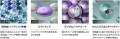 無機と有機が融合した新ブランド「ラグゼMUKI」utf-8