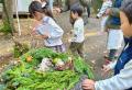 「池平徹兵 アトリエ美術館」オープン！