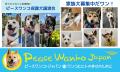 きららマルシェin神戸・舞子公園2025春