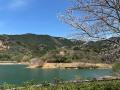 愛犬と泊まれる温泉旅館【下関市】川棚グランドホテル