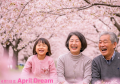 きまるしょうゆをめぐる冒険 ～きまるしょうゆの想い