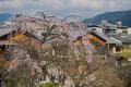 桜の名所・京都祇園に「マレーシア 文化交流センター