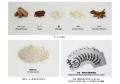 2025年4月12日世界初、宇宙から帰還したラーメンを「
