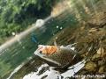 釣り糸を資源に。廃棄釣り糸アップサイクルの実証実験