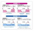 しろくま電力、「低炭素電力会社」における高圧部門の