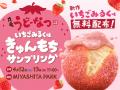 ＼もっちもちが、とまりません！／うどん生まれの「丸