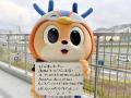長崎鮮魚と生本まぐろの回転寿司専門店「美々すし」、