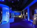 四国水族館で幻想的な夜の水族館『Nightscapeこがねい
