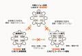 上場企業CFOおよび経理財務・経営企画部門リーダー向