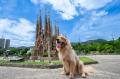 わんちゃんと入園できる「WORLDog！ふれんどりー」１