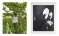 沖縄の多様なアート&カルチャーシーンが東京・西麻布