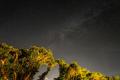 星景・夜景撮影に最適な、街明かりによる色カブリを抑