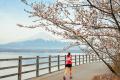 ランナー約4,150人、桜舞う富士五湖を駆け抜ける！