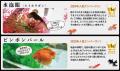 【子ども入場無料！】子どもの日はアートアクアリウム