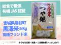 Baby科学認定園きらり保育園を全国に　大阪府箕utf-8