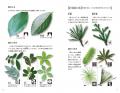 【葉・幹・樹形・花・実・冬芽】６つの部位で、一年中