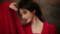 中国ドラマ「花間令＜かかんれい＞～Lost in Love～」