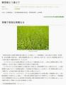 防除・農薬の困りごと解決メディア「みんなの防除」新