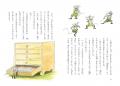 ベルギーから届いた、ハラハラドキドキの児童文学『こ