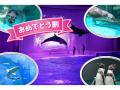 【こどもの休日の過ごし方】サメ好き必見！アクアワー