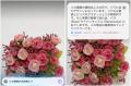 ＜2025 AIトレンド通信 4月号＞Apple Intelligence 日