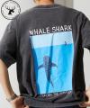 Jonas ClaessonとFREAK'S STOREのコラボレーションア
