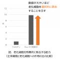 老化予防に関する研究を加速　ネムノキが老化細胞を取