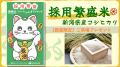 【当日特典あり】SOKUDAN、国内最大級のスタートアッ