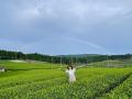 百貨店で気軽にお茶を学べる！5月21日から開催の「お