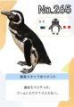 【上越市立水族博物館 うみがたり】繁殖シーズンに、